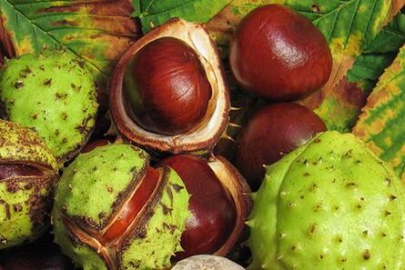 Horse kastanje fruit wordt gebruikt bij de behandeling van prostatitis