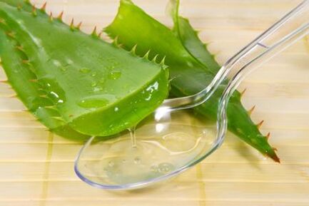 Kalanchoe -sap wordt gebruikt om prostatitis te behandelen